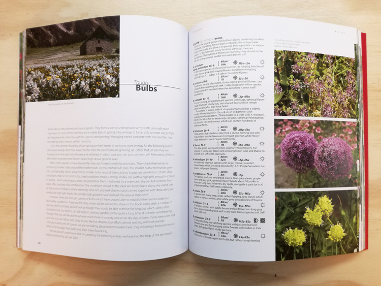 Dream Plants For The Natural Garden Over 1200 Beautiful