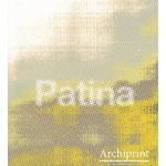 Archiprint 11. patina Volume 6 issue 2 | 