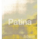 Archiprint 11. patina Volume 6 issue 2 | 