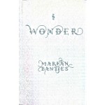 I Wonder | Marian Bantjes | 9780500294383 | Thames & Hudson