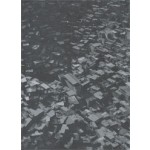 Scaling Infrastructure | MIT Center for Advanced Urbanism | 9781616894160 | Princeton Architectural Press