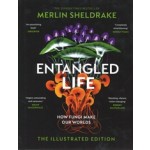 Entangled life. How Fungi Make Our Worlds, Change Our Minds and Shape Our Futures - The illustrated edition | Merlin Sheldrake | 9781847927736 | The Bodley Head