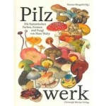 Pilzwerk. Die fantastischen Farben, Formen und Fungi von Hans Walty | Hannes Mangold | 9783039690497 | Christoph Merian Verlag