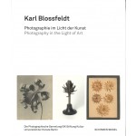 Karl Blossfeldt. Photographie im Licht der Kunst - Photography in the Light of Art | Gabriele Conrath-Scholl | 9783829610247 | Schirmer/ Mosel