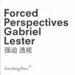 Forced Perspectives. Gabriel Lester | Lee Ambrozy, Philippe Pirotte, Vivian Sky Rehberg | 9783943365658 | Sternberg