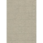 Nico Joana Weber - Monstera Deliciosa | GRASS | 9783946848035