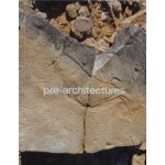 Pre-Architectures | Silvia Franceschini, Nikolaus Hirsch, Spyros Papapetros | 9783959058742 | Spector Books