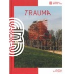 TraumA. Triënnale Brugge 2021