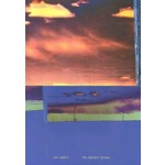 The Radiant Screen | Ine Lamers | 9789083285832 | Fw:Books