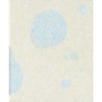 Kim Boske. Kamiyama | Erik A. de Jong, Ryoko Yoshida, Taco Hidde Bakker, Menno Liauw | 9789083519753 