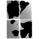 Bird shaped vinyl | Kai Udema | 9789083521107 | soft concern hard concern