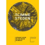 Slimme steden. Opgaven voor de 21e eeuw in beeld (ebook) | Ton Dassen, Maarten Hajer | 9789462081802