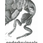 Onderkruipsels. Verbeelding en waardering van insecten en andere beestjes in kunst en wetenschap | 9789462087552 | nai010, Rijksmuseum
