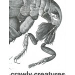 Crawly Creatures. Depiction and Appreciation of Insects and Other Critters in Art and Science | 9789462087569 | nai010, Rijksmuseum