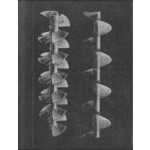 La Nonpareille / The Incomparable | Batia Suter | 9789464460858 | Roma Publications