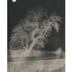 Felwa | Arja Hop, Peter Svenson | 9789493329065 | Jap Sam Books