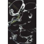 Orgs. From Slime Mold To Silicon Valley And Beyond | Jenna Sutela | 9789527222027 | Garret Publications