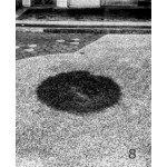 Forming City Scapes 8 | Plants | Gideon-Jamie | Temporary Press | 9789811420733