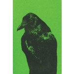 Flipping the bird | Rik van den Bos, ontwerp Hans Gremmen | 9789083225135 | Fw:Books