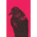Flipping the bird | Rik van den Bos, design Hans Gremmen | 9789083165882 | Fw:Books