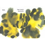 Tiger Postcards by Rop van Mierlo. set of 10 cards | Rop van Mierlo