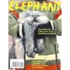 ELEPHANT 41