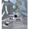 Synthetic Aesthetics