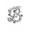 Sagmeister & Walsh: Beauty