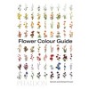 Flower Colour Guide
