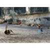 LITTLE PEOPLE IN THE CITY