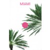CLOG 09. MIAMI