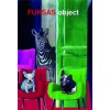 FUKSAS object