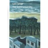 The Continuous City
