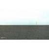 Olafur Eliasson