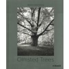 Olmsted Trees