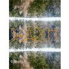 SeARCH