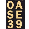 OASE 39. De huivering en de stenen. Materialiteit en fysieke ervaring