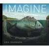 IMAGINE