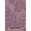 AMSTERDAM HERSTELT
