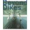 Beyond the Dikes