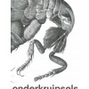 onderkruipsels