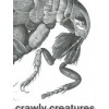 Crawly Creatures