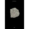 Stone