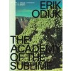 ERIK ODIJK