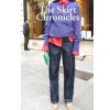 The Skirt Chronicles. Volume V