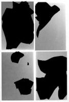 Bird shaped vinyl | Kai Udema | 9789083521107 | soft concern hard concern