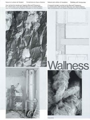 Wallness