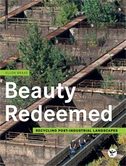 Beauty Redeemed