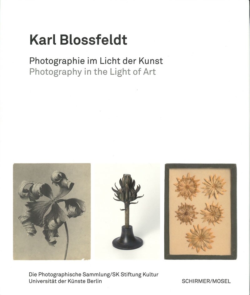 Karl Blossfeldt