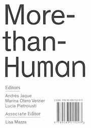 More-than-Human